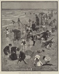 これらの黄色い砂に来る